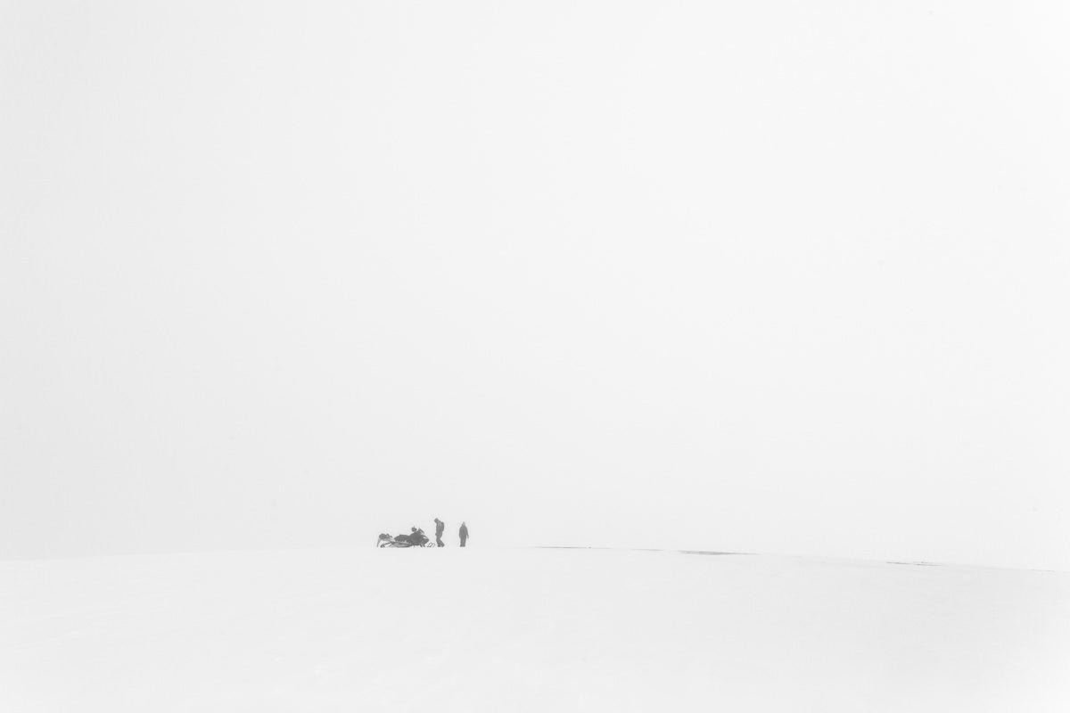 Perdidos en lo blanco